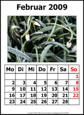 2-Kalender-N-09-Februar.jpg